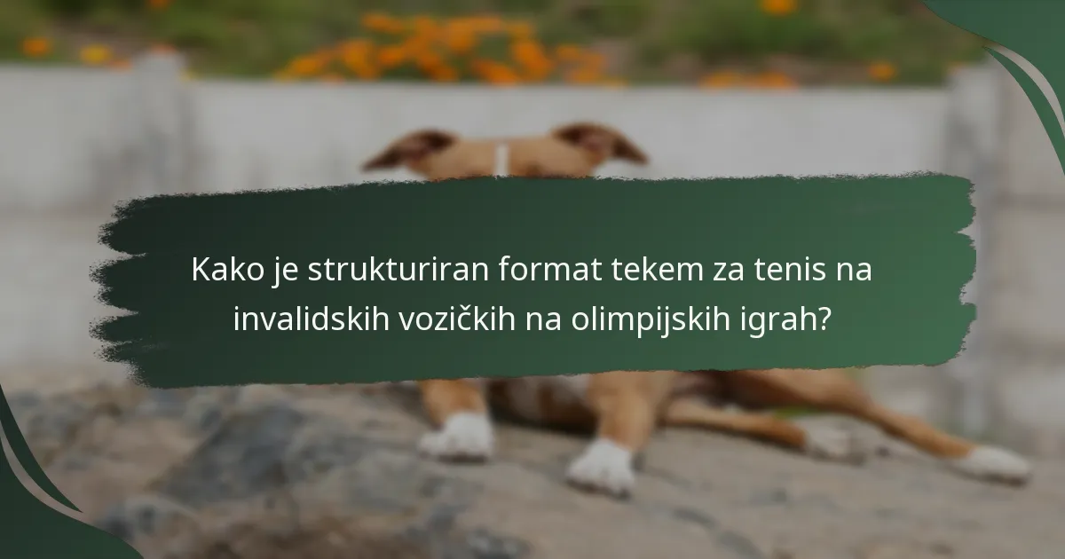 Kakšne so pravila vključevanja v tenisu na invalidskih vozičkih na olimpijskih igrah?