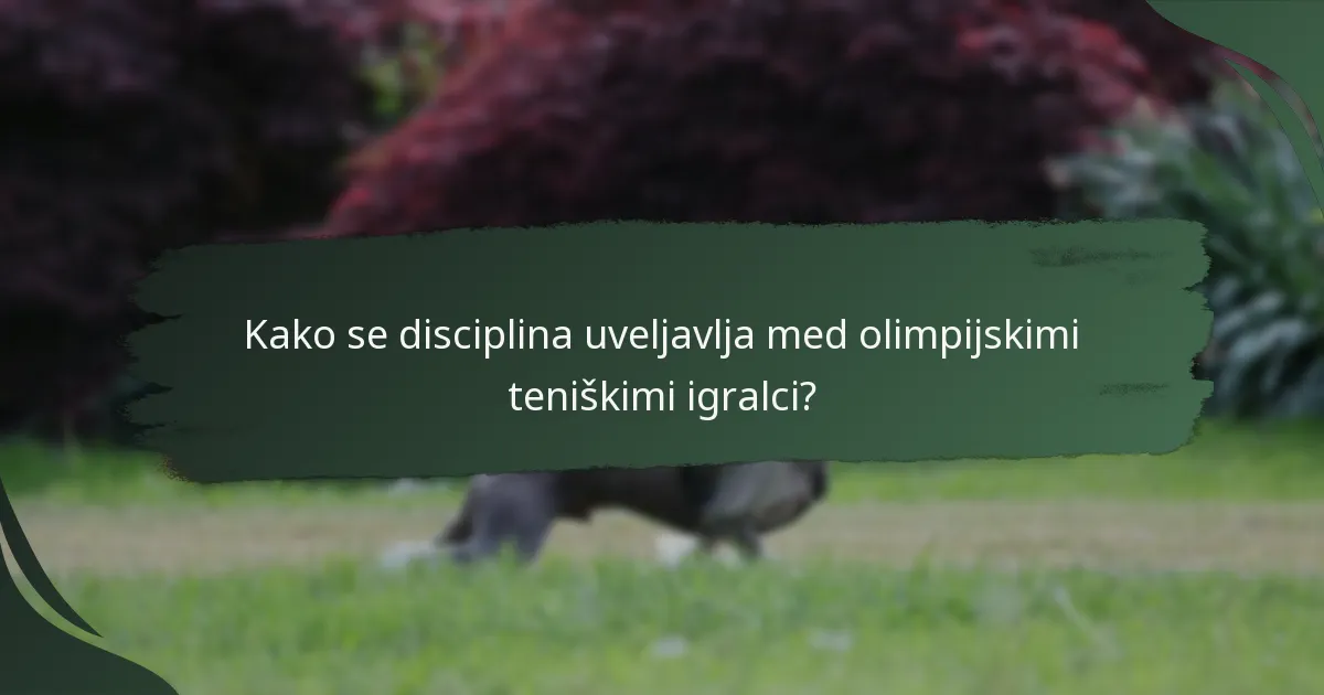 Kako se disciplina uveljavlja med olimpijskimi teniškimi igralci?