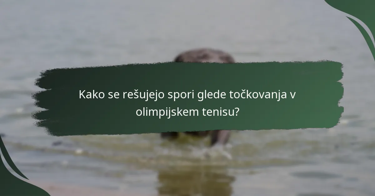 Kako se rešujejo spori glede točkovanja v olimpijskem tenisu?