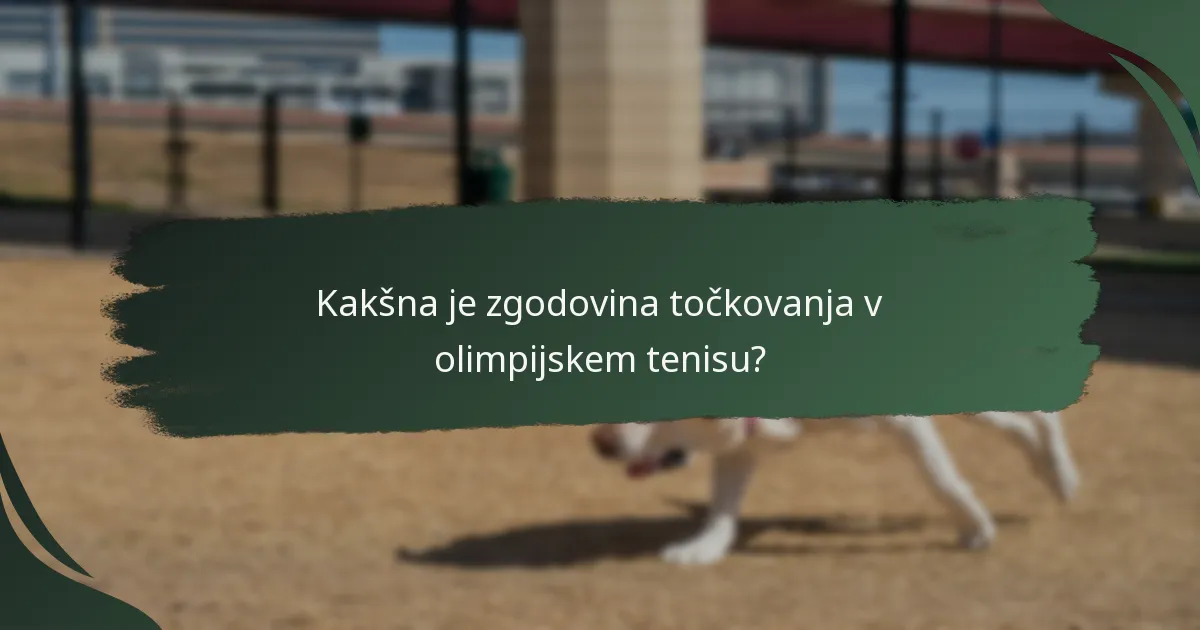 Kakšni so mednarodni standardi za točkovanje tenisa?