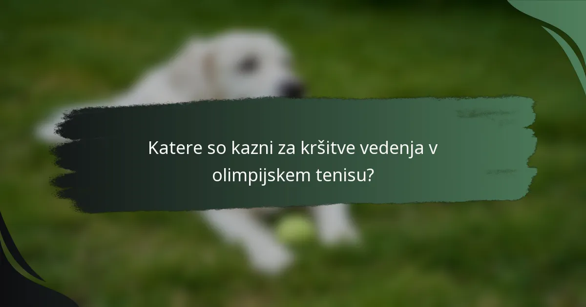 Katere so kazni za kršitve vedenja v olimpijskem tenisu?