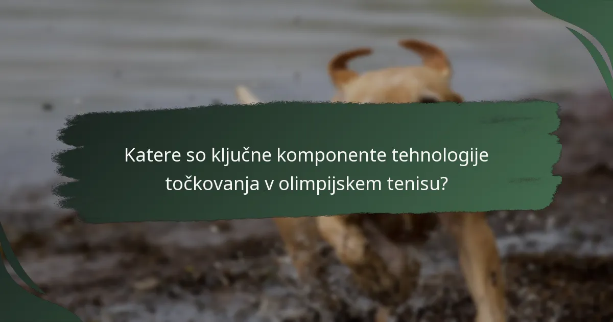 Kako se točkovanje v olimpijskem tenisu primerja z drugimi formati tenisa?